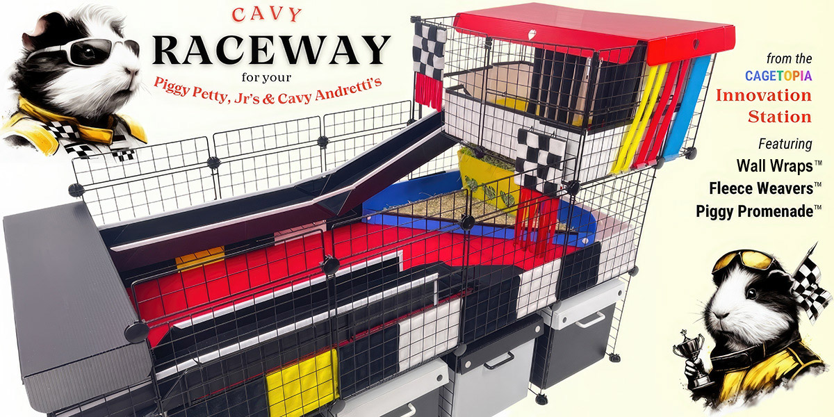 Cavy Raceway Setup from Cagetopia