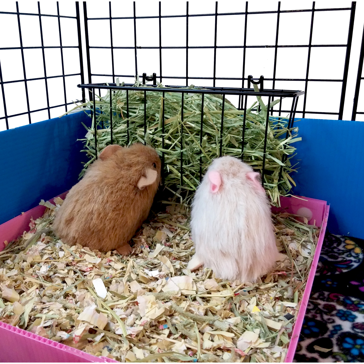 hay rack for guinea pig cage