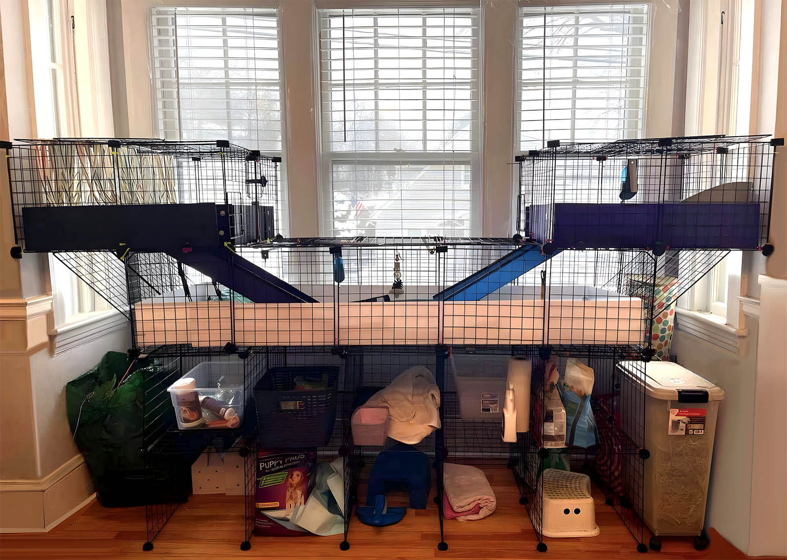 15 DIY Guinea Pig Cage Plans You Can Build Today (With Pictures