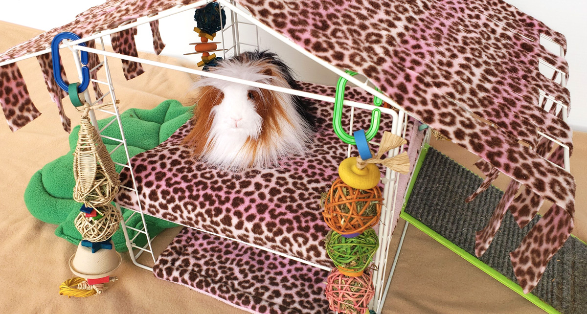 Guinea Pig Play Station in leopard fabric