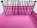 Cagetopia Wall of Silence with Pink Coro and white edge trim, from the grid side