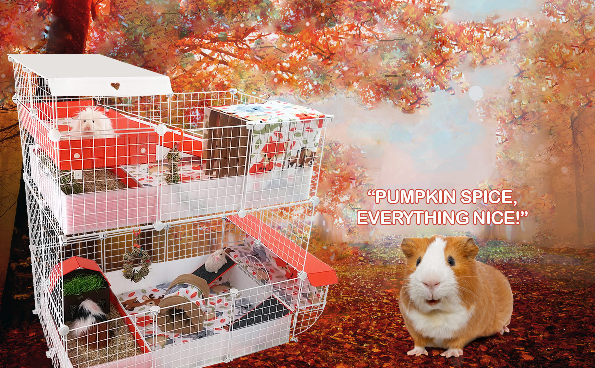 stacked guinea pig cages