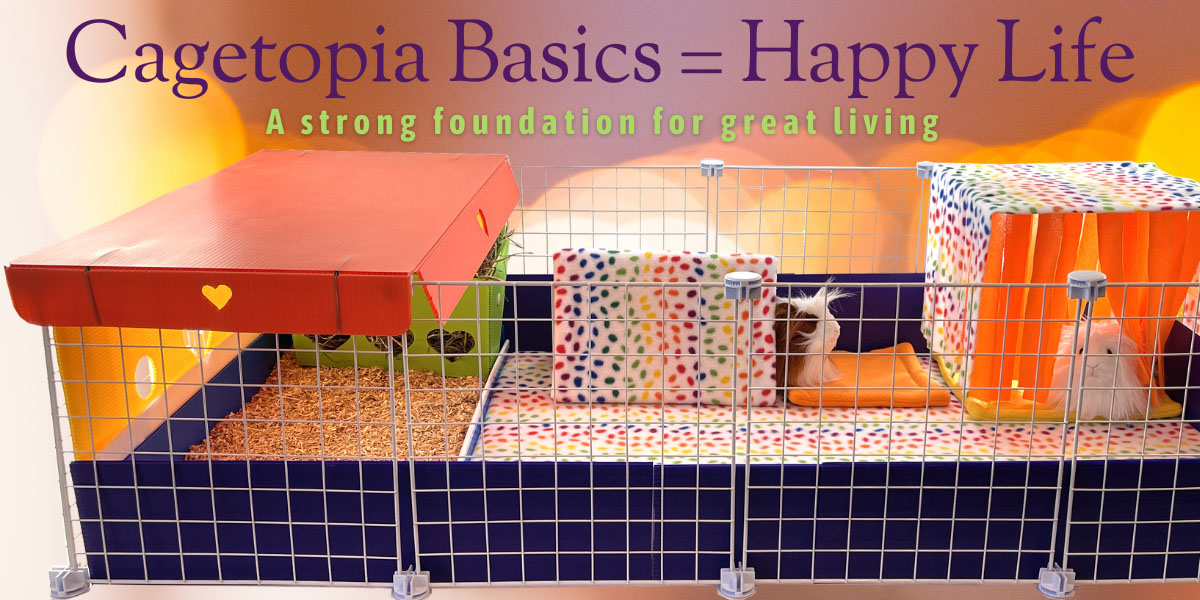 Cagetopia 2x4 Grid C&C Starter Kit with the Bedding Combo from the Guinea Pig Market