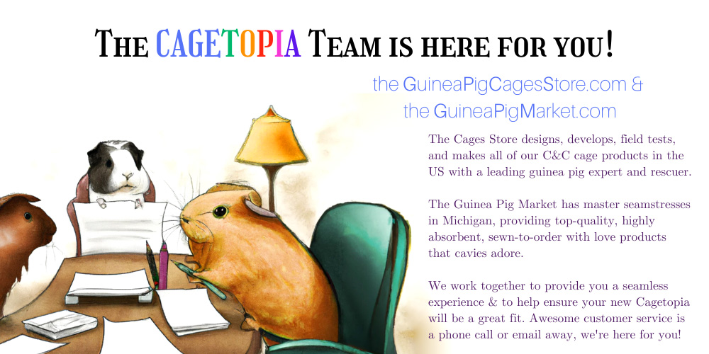 Cagetopia Team meeting as 3 guinea pigs illustration