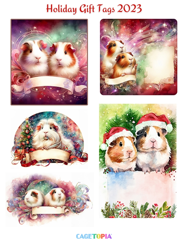 Guinea Pig Holiday Gift Tags to Print
