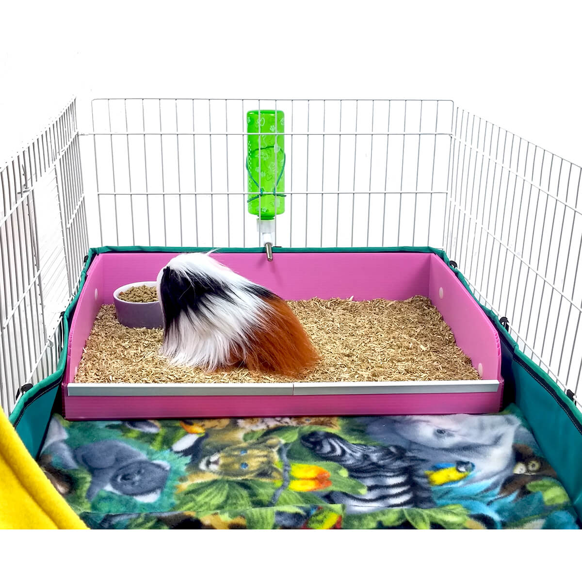 guinea pig litter tray pets at home