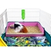 Midwest Guinea Pig Cage DINER for hay and bedding