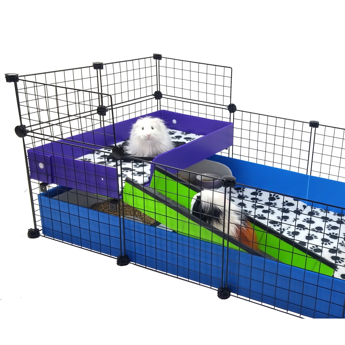 do guinea pigs need big cages