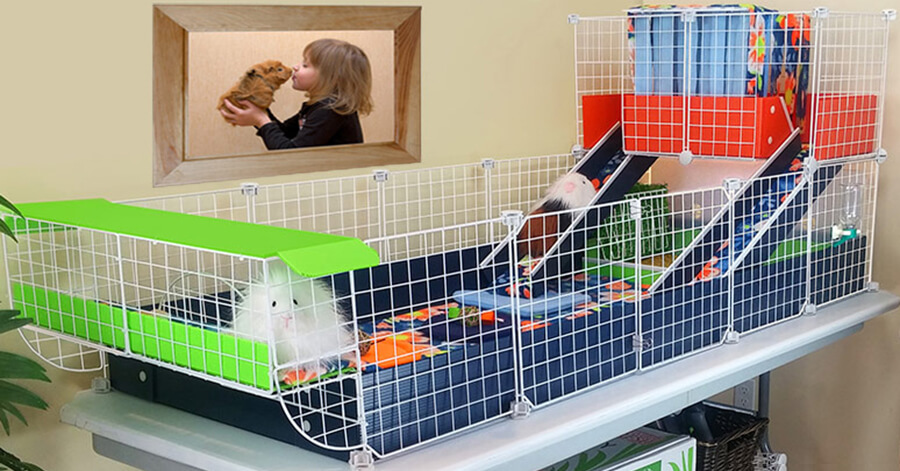 stylish guinea pig cage