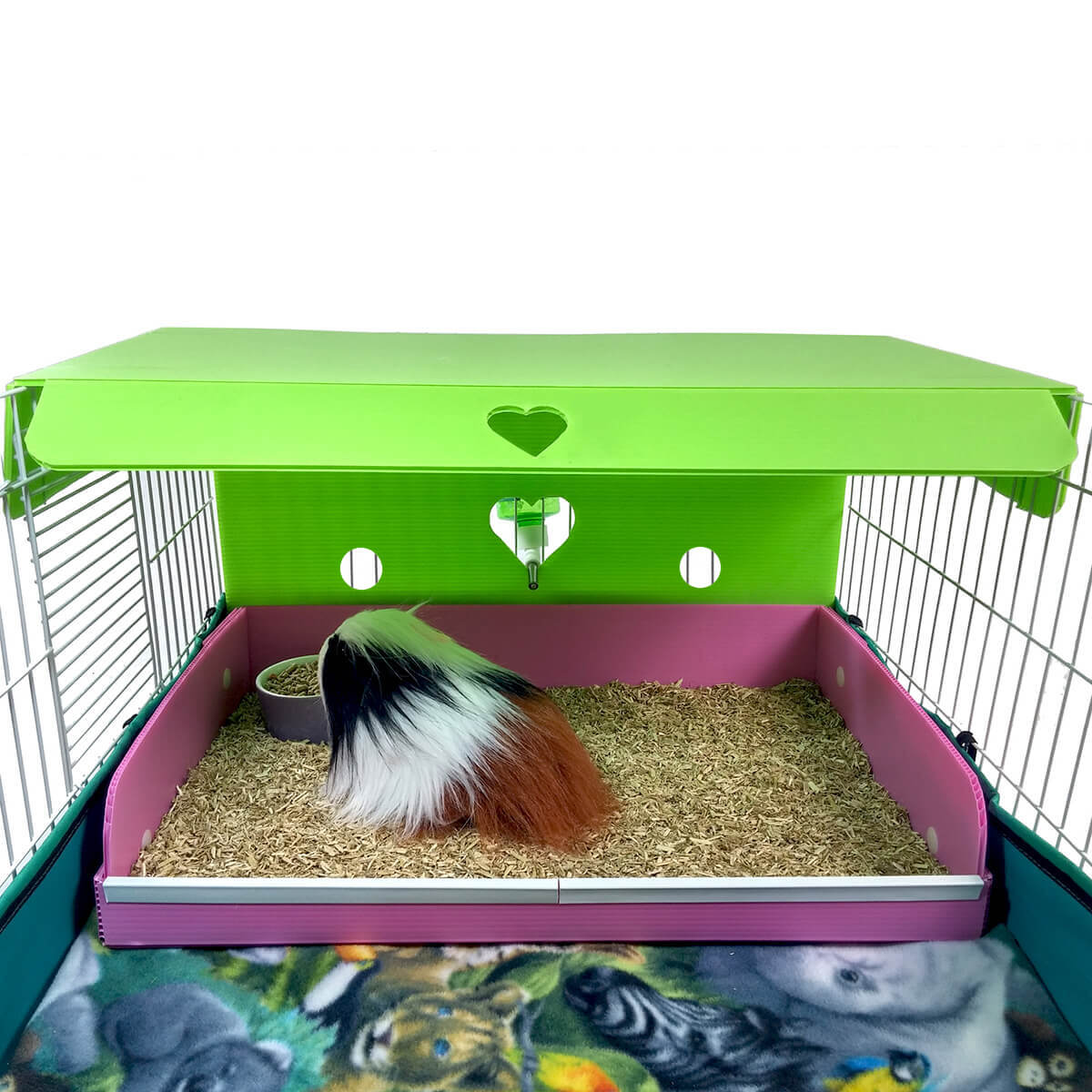 will a guinea pig use a litter box