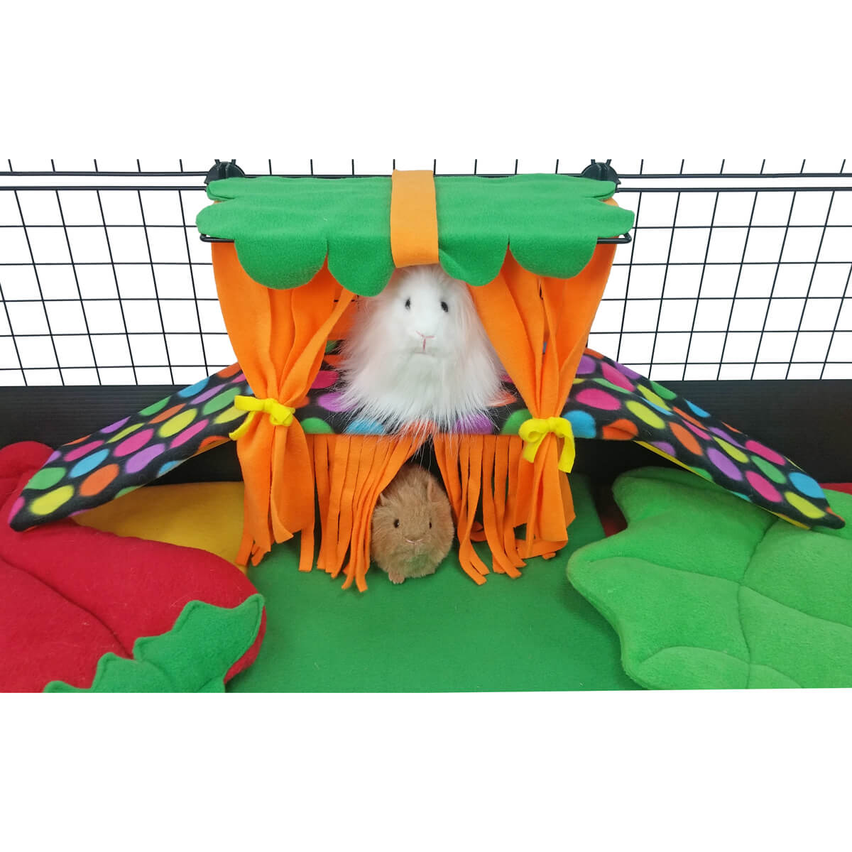 Piggy Perch C&C cage addition for guinea pigs