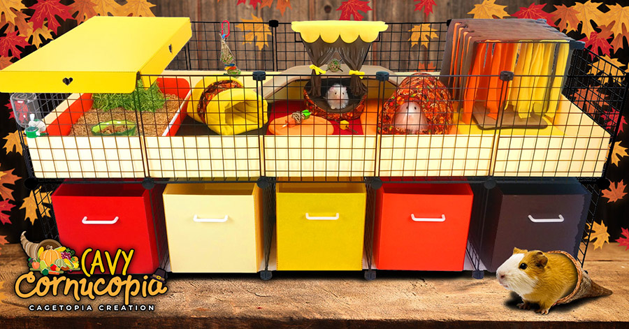 guinea pig cage for 4