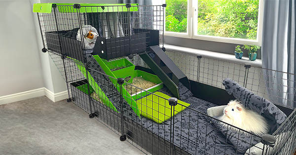 Swanky Bachelor Piggy Pad image of a 2x4 large Cagetopia C&C Cage with a Wide offset loft